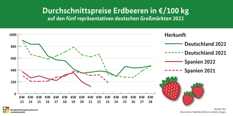 Infografik Durchschnittspreise Erdbeeren ‹ Fruchtportal
